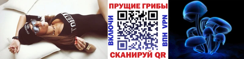 blacksprut зеркало  Волжский  Псилоцибиновые грибы Psilocybe  как найти наркотики 